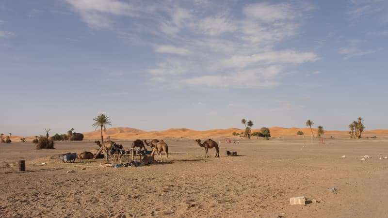sahara-morocco