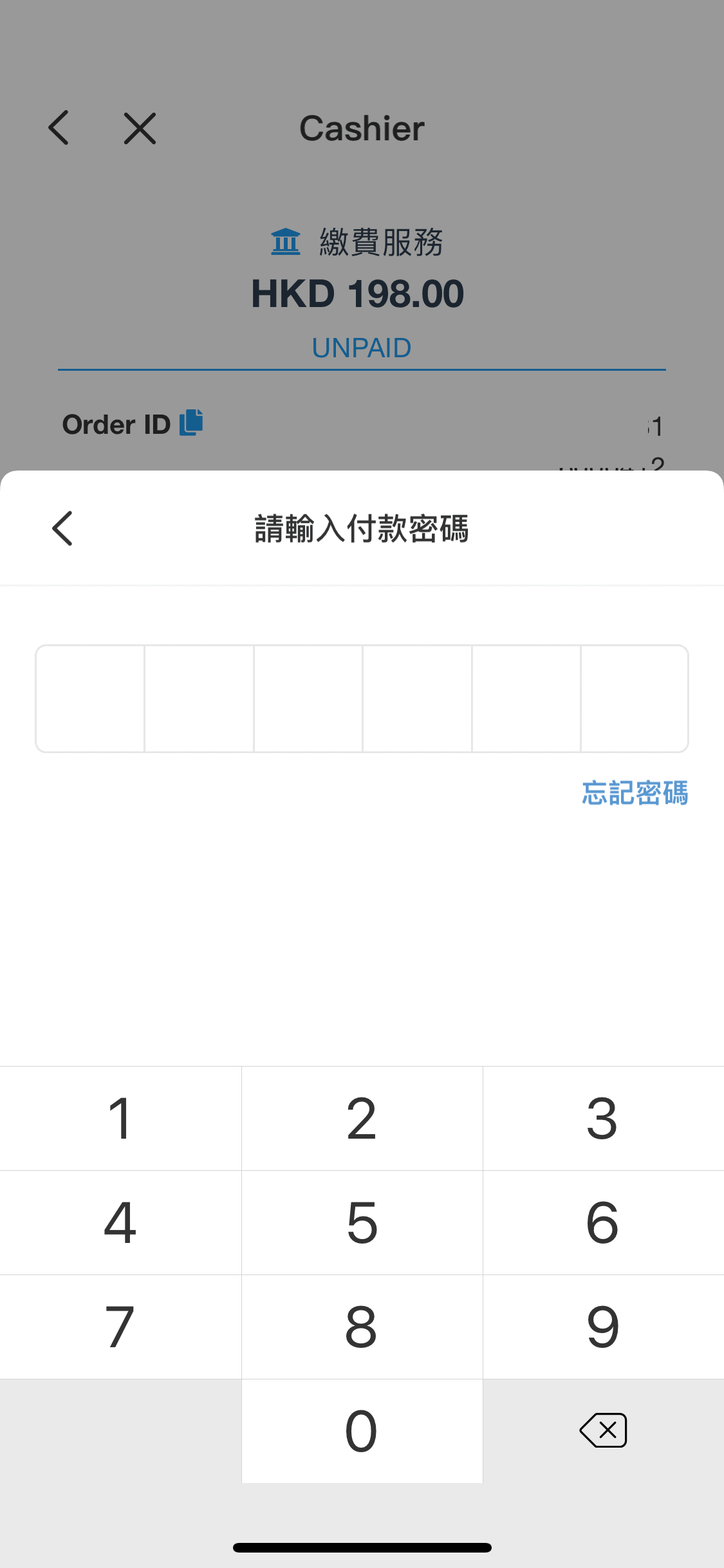 輸入你的 6 位支付密碼。