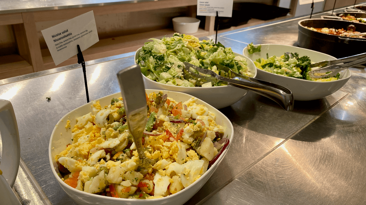 Google 是這樣介紹 Nicoise Salad 的:尼斯沙律(法文:salade niçoise)係種法國沙律,材料通常用番茄、烚蛋、橄欖、鯷魚(或吞拿魚),配橄欖油,有啲會落埋甜椒、紅蔥頭、雅枝竹。