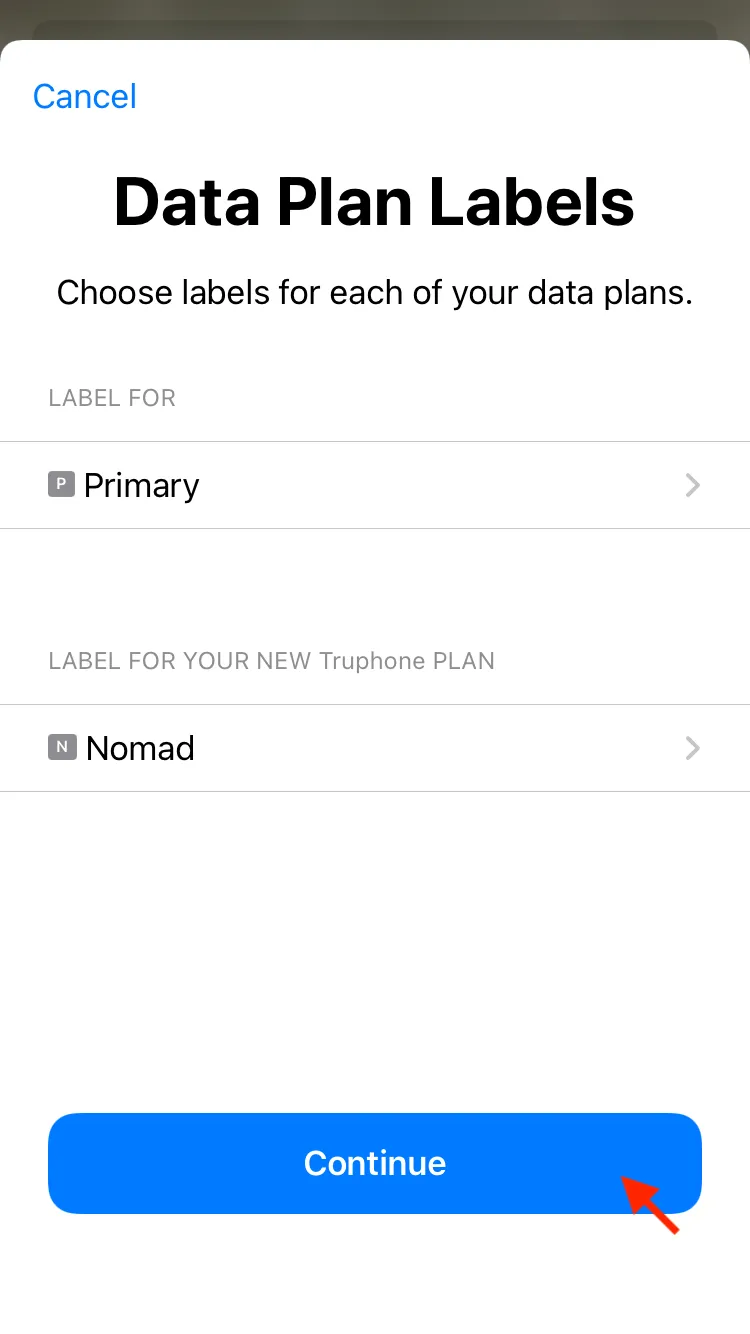 我直接把這個 Data Plan 叫 Nomad,然後就按「Continue」繼續安裝。