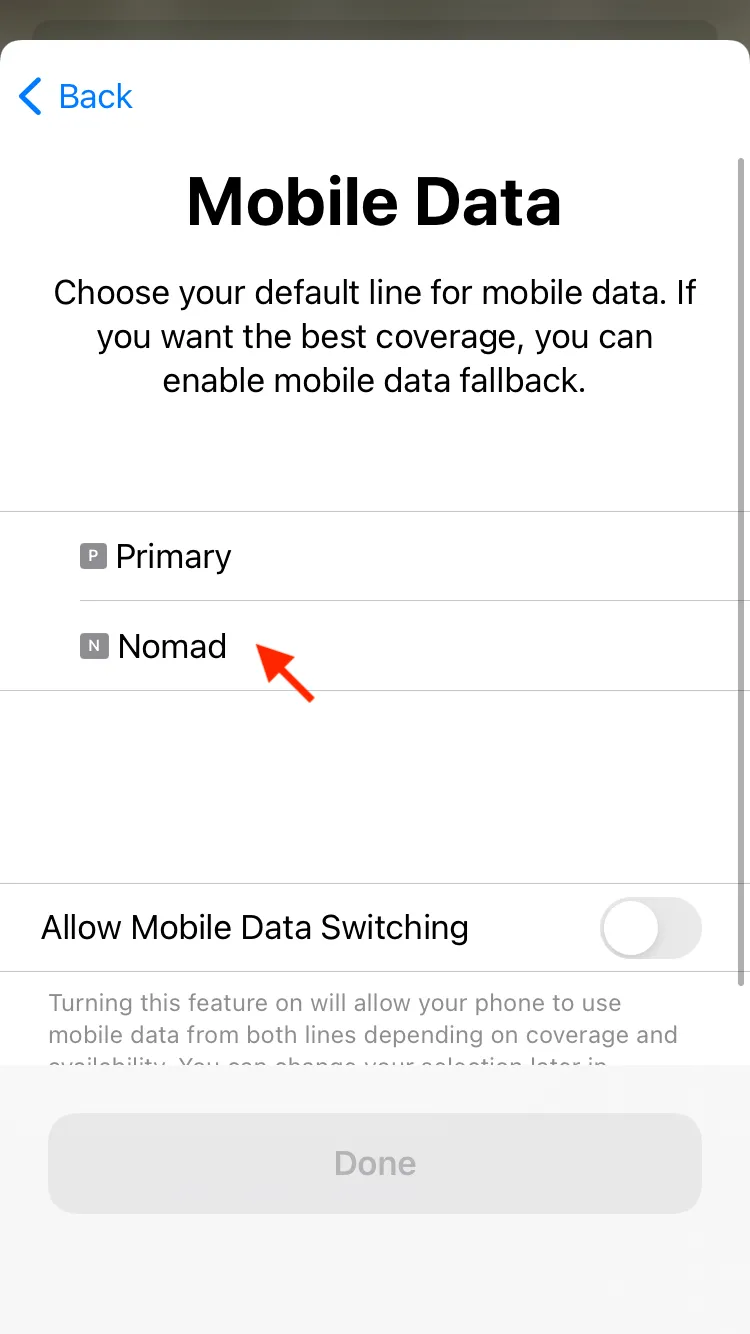 但我會用 Nomad eSIM 來上網,所以 Mobile Data 的一欄要點擊 Nomad eSIM。