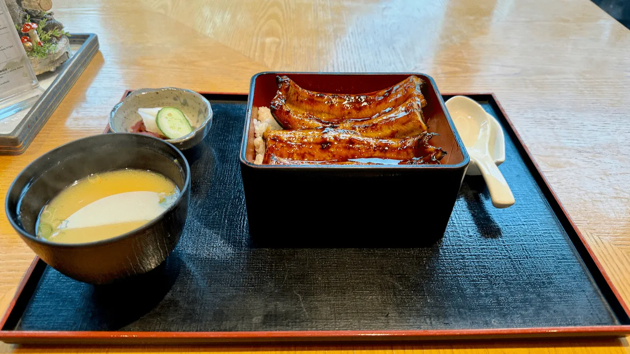 這次我點了一客鰻魚飯定食。
