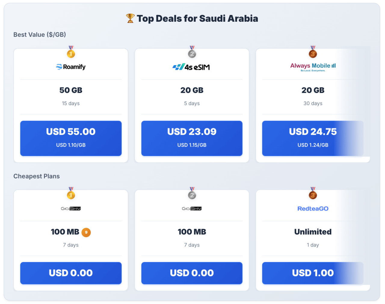 簽證教學】香港居民申請沙地阿拉伯eVisa 電子旅遊簽證| FlyAsia