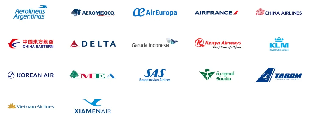 SkyTeam 天合聯盟成員